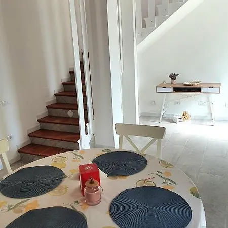 Helianthus * Assemini