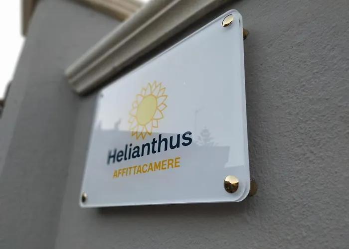 Helianthus ゲストハウス アッセミニ