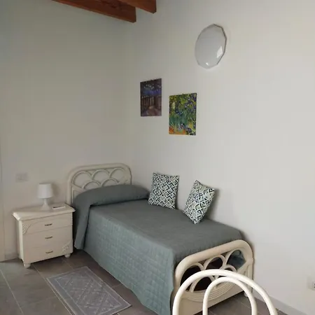 Helianthus 阿塞米尼