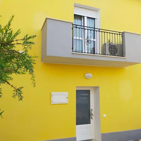 Helianthus * 阿塞米尼