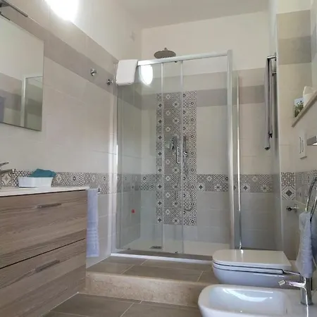 Helianthus * 阿塞米尼