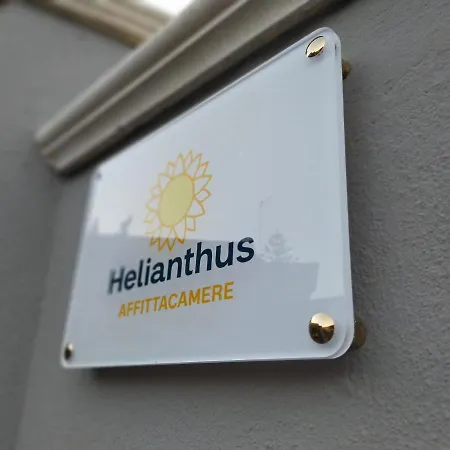 Helianthus 招待所 阿塞米尼