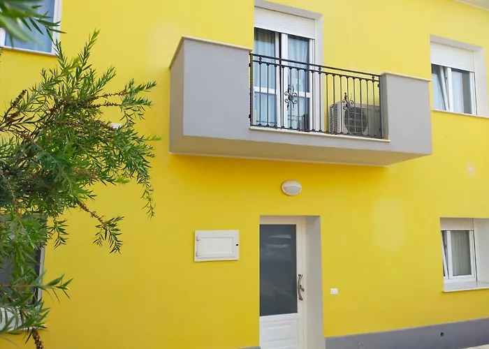 Helianthus * بلدية آسميني