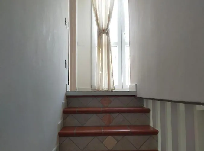 بيت ضيافة Helianthus *