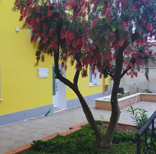 بيت ضيافة Helianthus